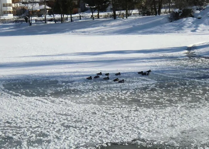 In Stubaital Near Lift Appartement Neustift im Stubaital