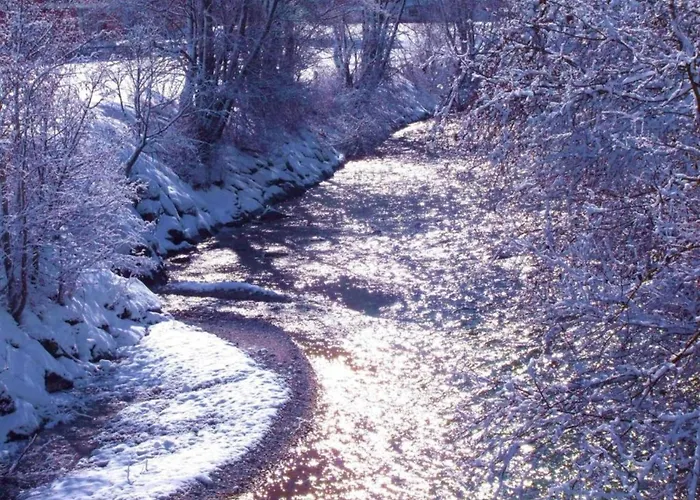 Appartement In Stubaital Near Lift